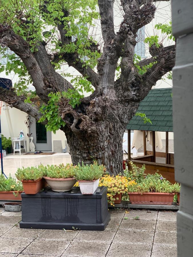 Villa Pille Monzambano Exteriér fotografie